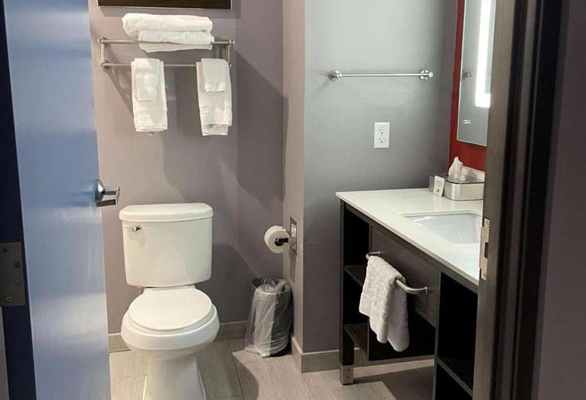 اتاق استاندارد با تخت بزرگ, Del Mar Airport Inn & Suites