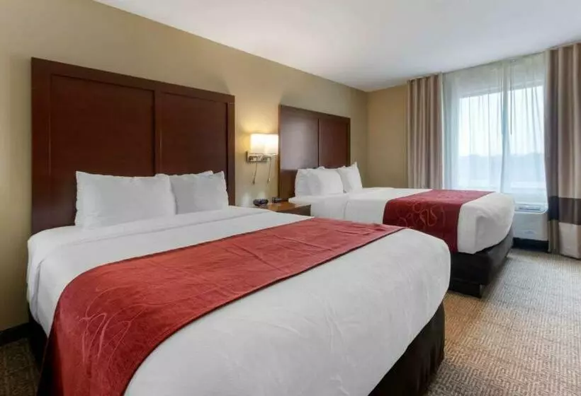 スイート, Comfort Suites Billings