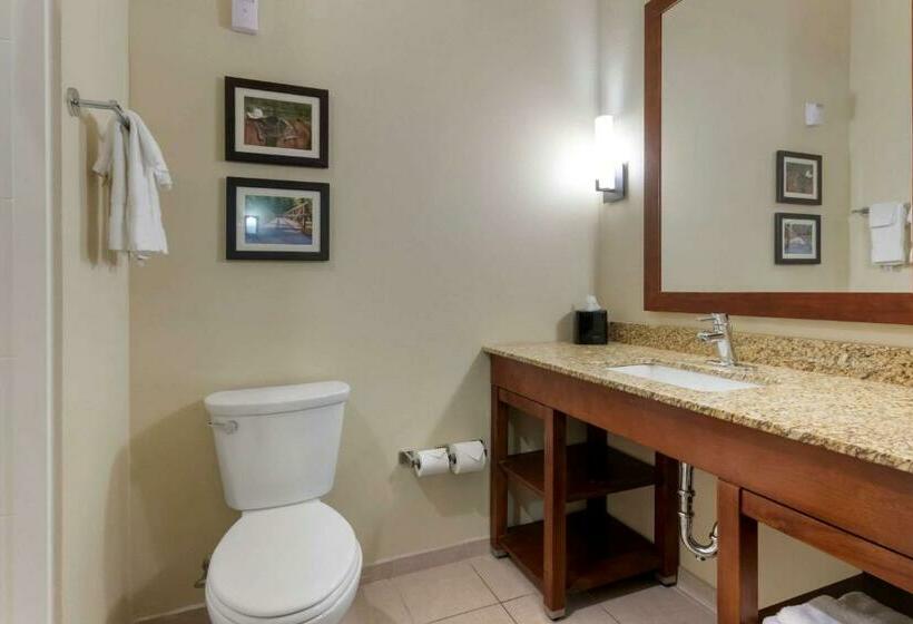 스위트 킹사이즈 침대, Comfort Suites Billings