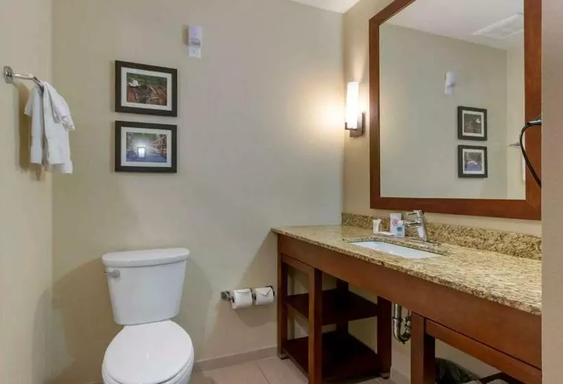 スイート, Comfort Suites Billings