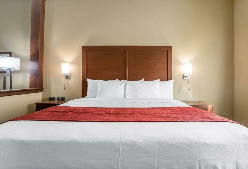 스위트 킹사이즈 침대, Comfort Suites Billings