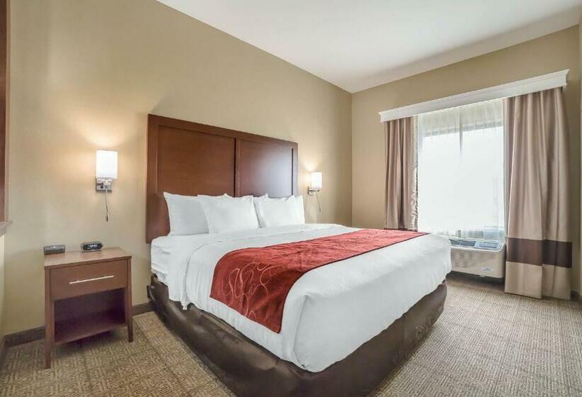 스위트 킹사이즈 침대, Comfort Suites Billings