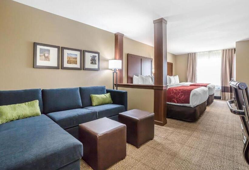 스위트, Comfort Suites Billings