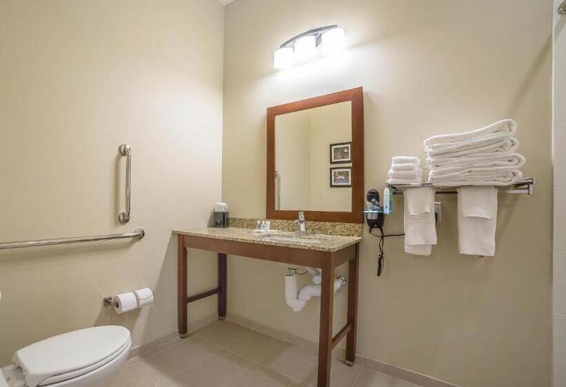 Люкс Кровать Кинг, Comfort Suites Billings