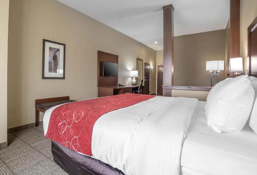 스위트 킹사이즈 침대, Comfort Suites Billings