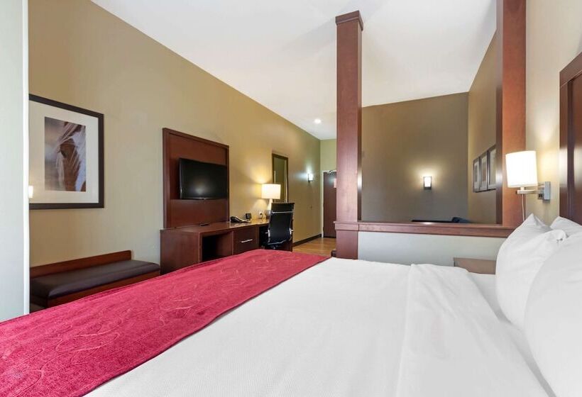 Люкс, Comfort Suites Billings