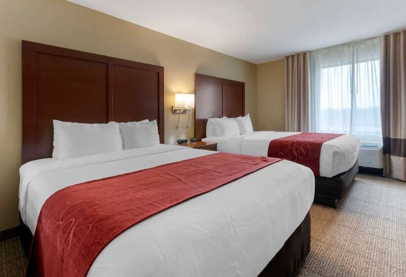 Люкс, Comfort Suites Billings