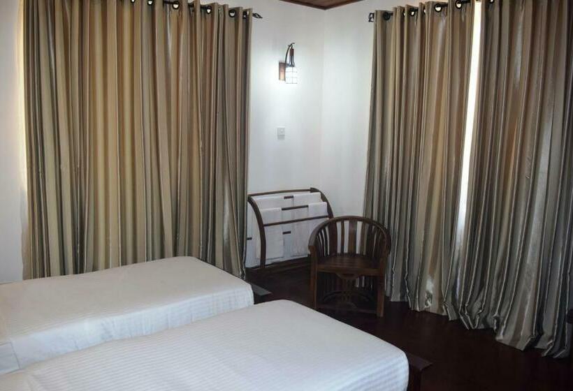 Номер Deluxe, Daffodil S