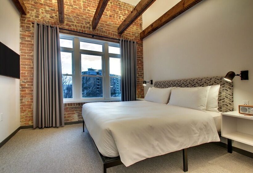 标准间带双人床, Hive