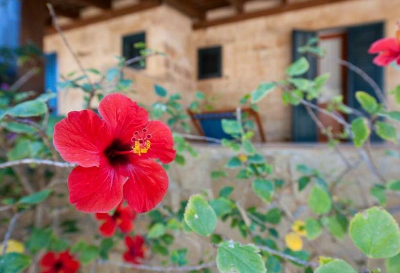 Апартаменты 1 Спальня, Miramare Residence