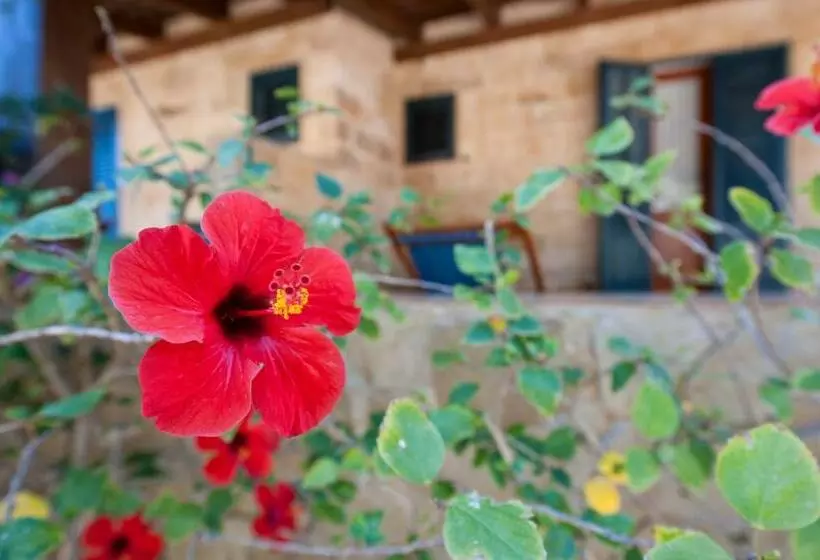 آپارتمان 1 خوابه, Miramare Residence