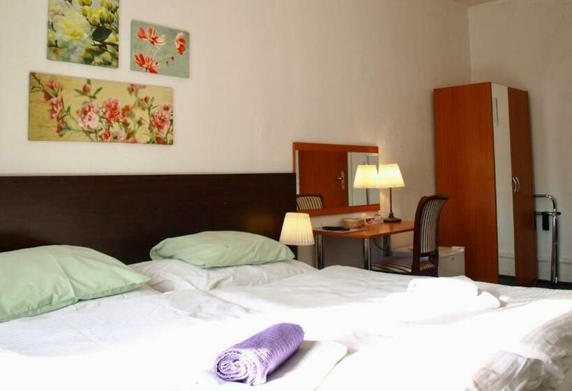 Camera Standard Bagno Condiviso, Pension Village