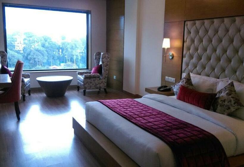 غرفة سوبيريور مطلة على المدينة, Rs Sarovar Portico