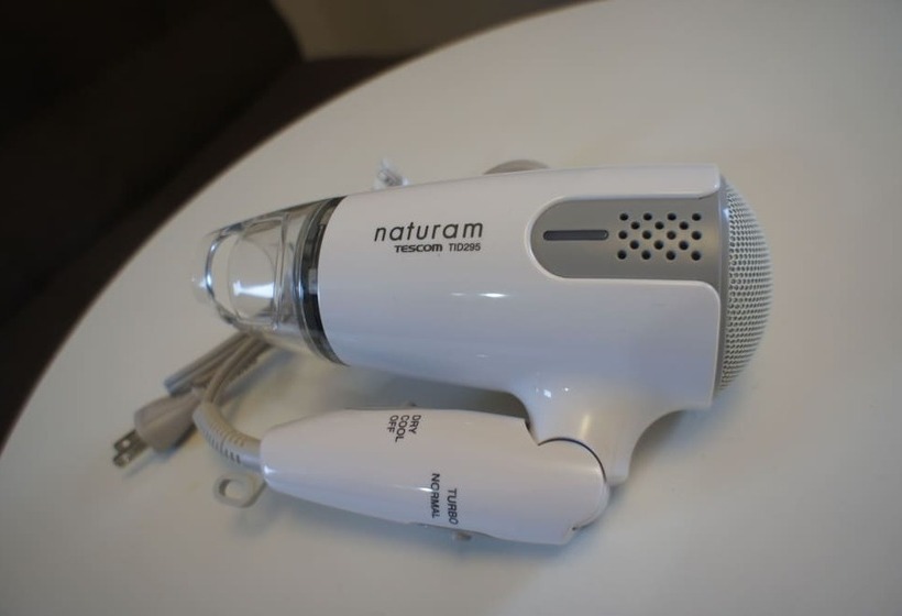 اتاق استاندارد یک نفره, Shizuoka Town