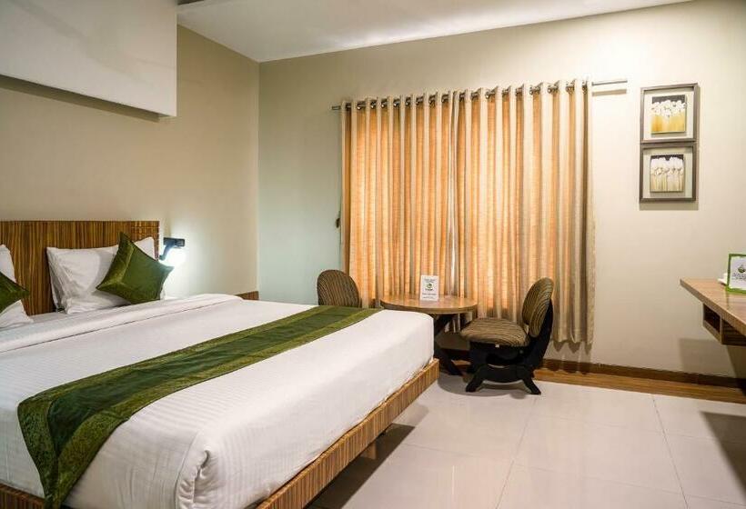 Номер Стандарт, Sonia Cidco