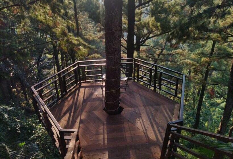 Люкс, Pijar Resort Powered By Cocotel