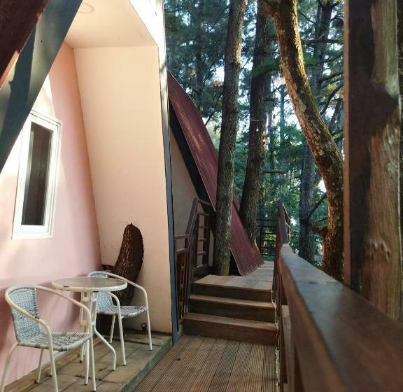 Люкс, Pijar Resort Powered By Cocotel