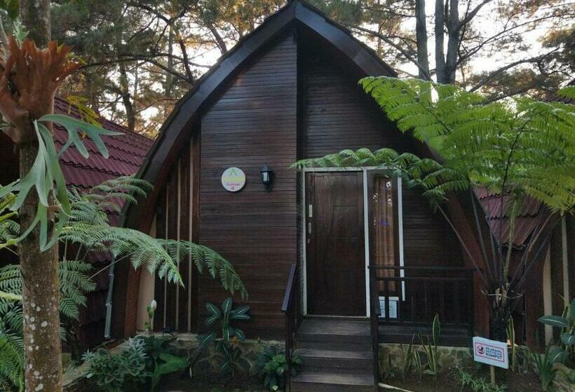 Семейный Номер Deluxe, Pijar Resort Powered By Cocotel