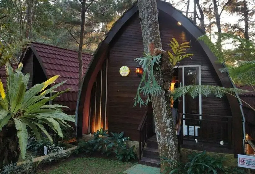 Superior Trippelrum, Pijar Resort Powered By Cocotel