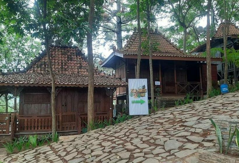 Семейный Номер, Pijar Resort Powered By Cocotel