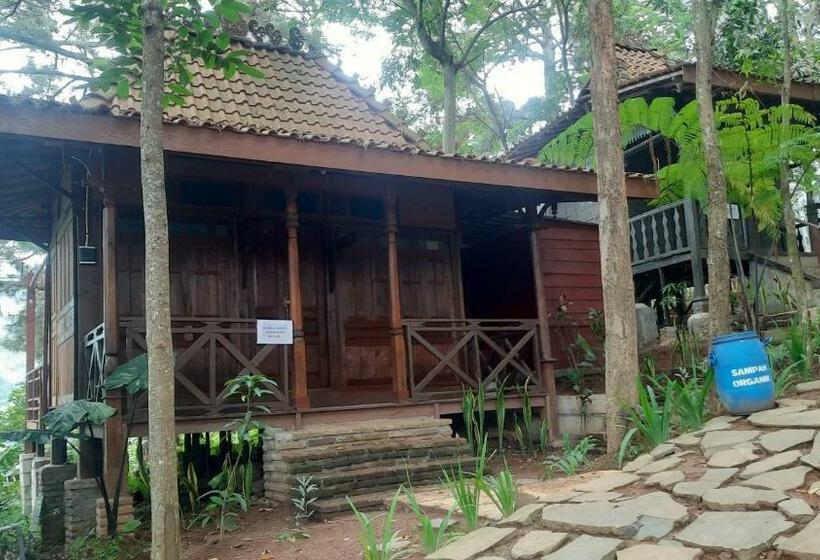 Люкс Повышенной Комфортности, Pijar Resort Powered By Cocotel