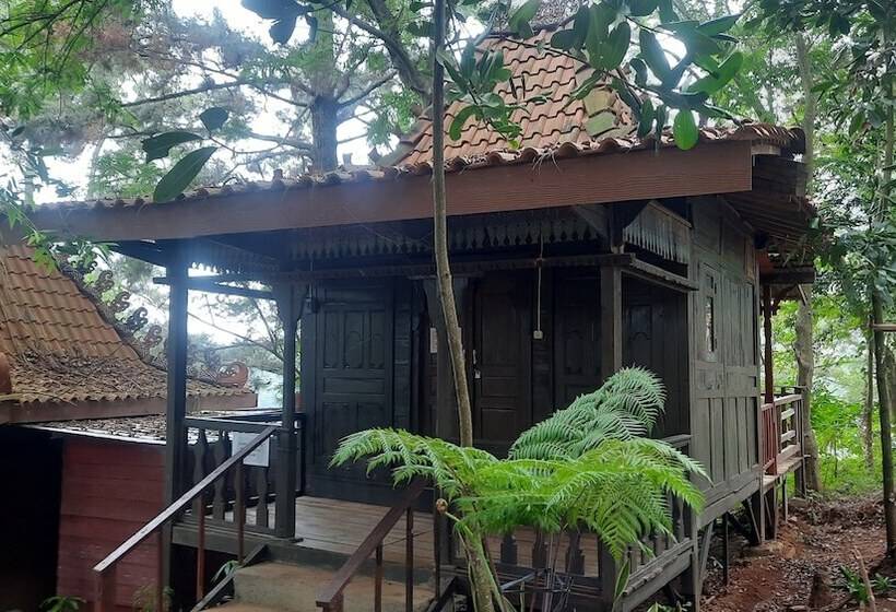 Номер Deluxe, Pijar Resort Powered By Cocotel