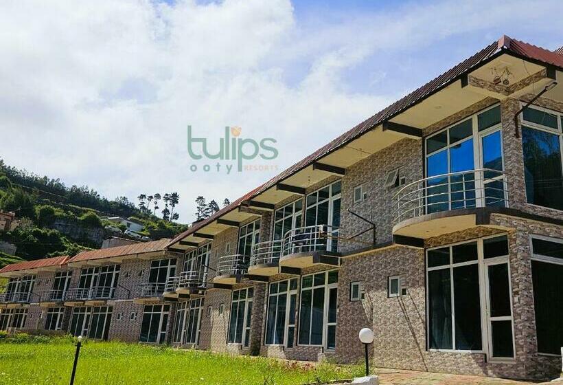 豪华房间, Tulips Village Resorts