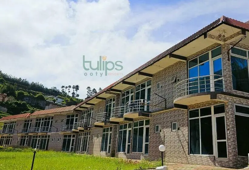デラックスルーム, Tulips Village Resorts
