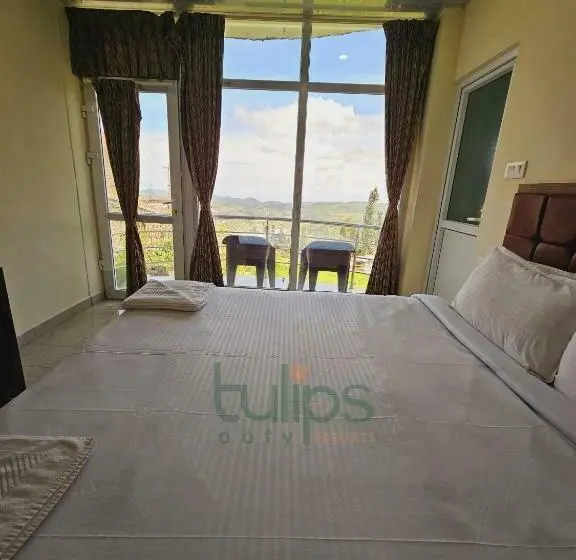 バルコニー付スイート, Tulips Village Resorts