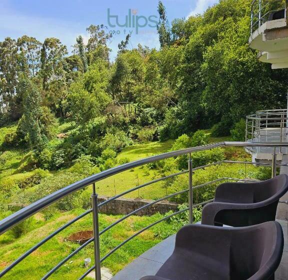 Апартаменты 1 Спальня с Балконом, Tulips Village Resorts