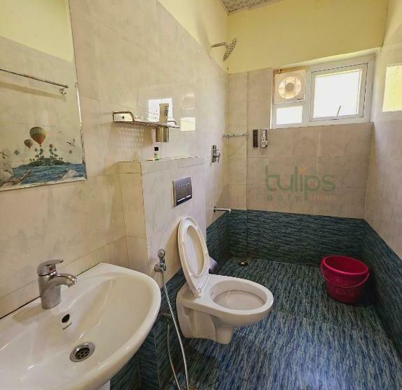 Апартаменты 1 Спальня с Балконом, Tulips Village Resorts