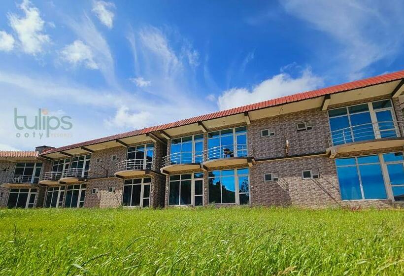 Апартаменты 1 Спальня с Балконом, Tulips Village Resorts