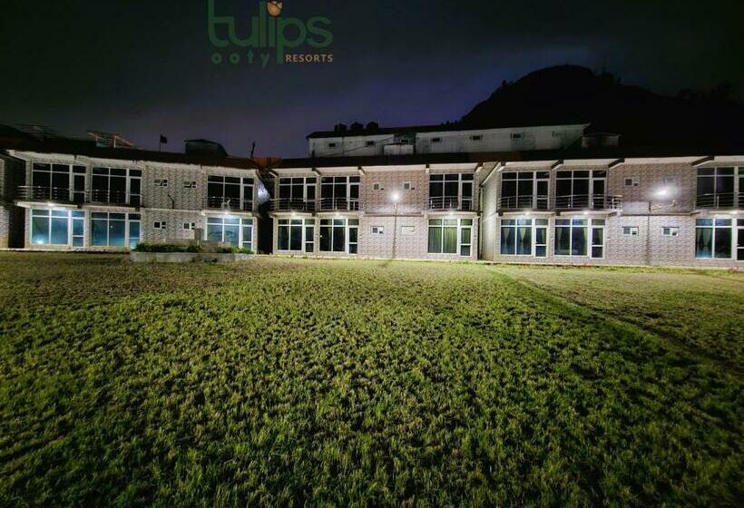 带1个卧室的带阳台的公寓, Tulips Village Resorts