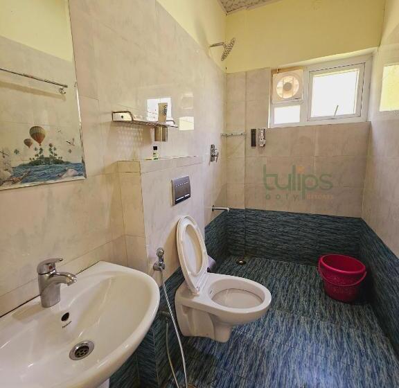 Номер Стандарт, Tulips Village Resorts