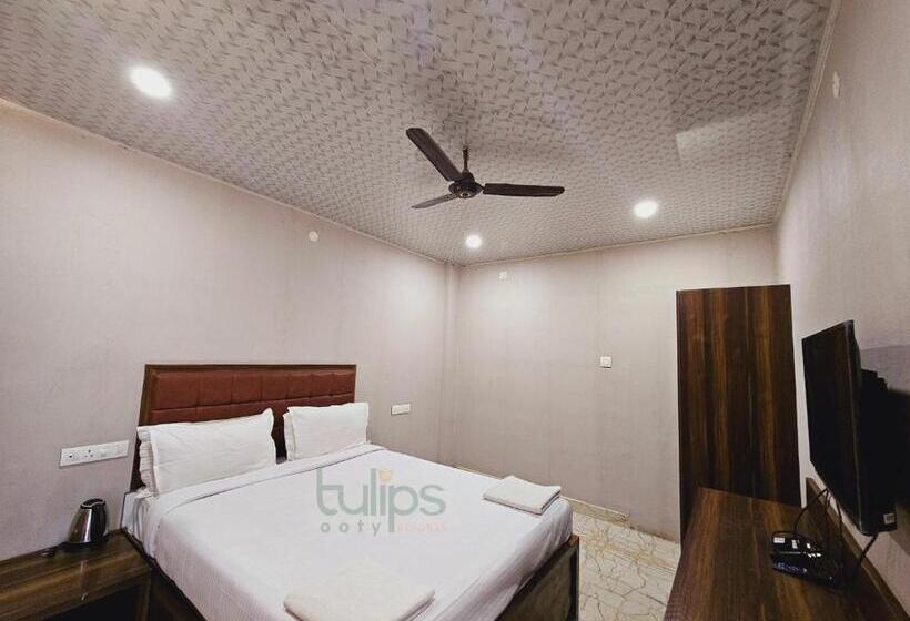 标准间, Tulips Village Resorts