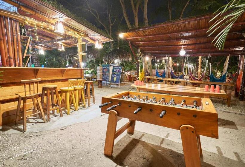 اتاق استاندارد, Kiwi Montañita