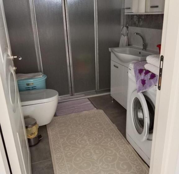 شقة غرفة واحدة, çetin Apart