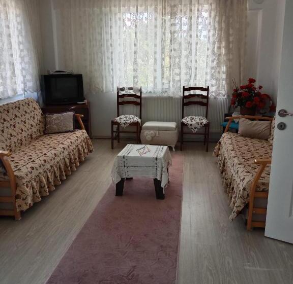 شقة غرفة واحدة, çetin Apart