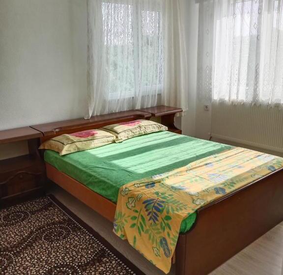 شقة غرفة واحدة, çetin Apart