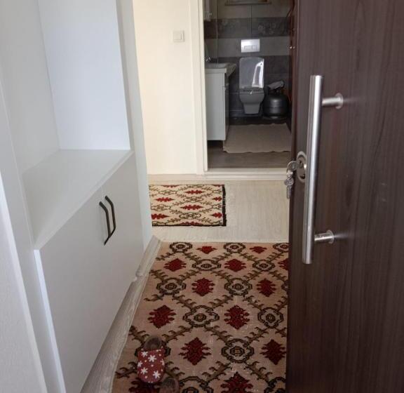 شقة غرفة واحدة, çetin Apart