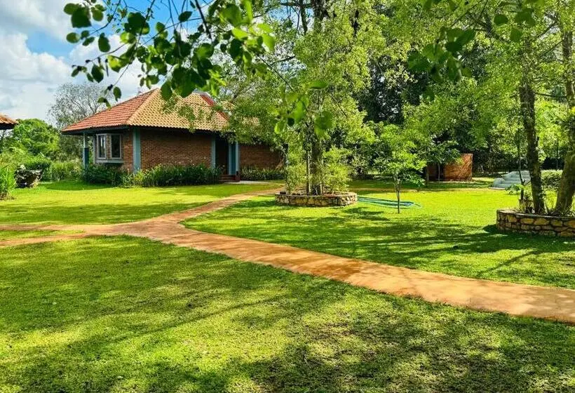 Perhesviitti, Foresta Resort Sigiriya