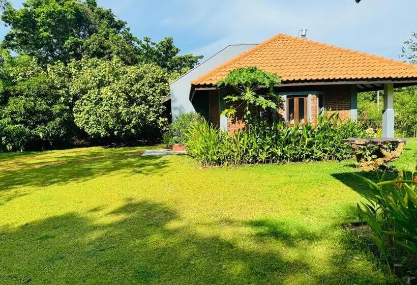 Perhesviitti, Foresta Resort Sigiriya