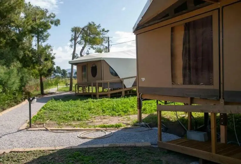 １ベッドルームアパートメント, Tenda Glamping Vicino Al Mare