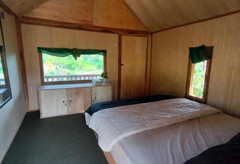 חדר אקונומי, Kunang Kunang