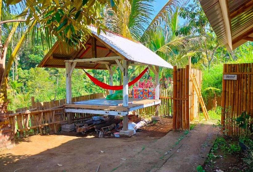 חדר אקונומי, Kunang Kunang