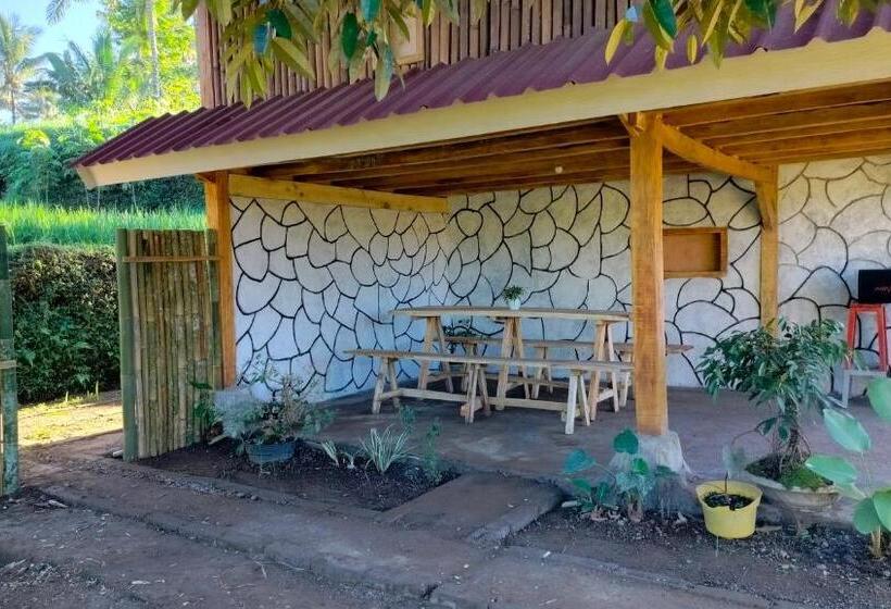 חדר אקונומי, Kunang Kunang