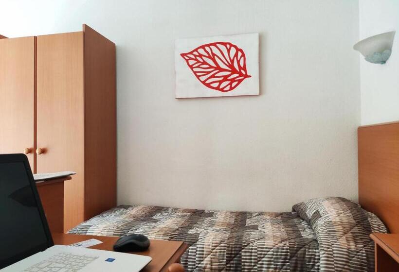 スタンダードシングルルーム, Compostelle