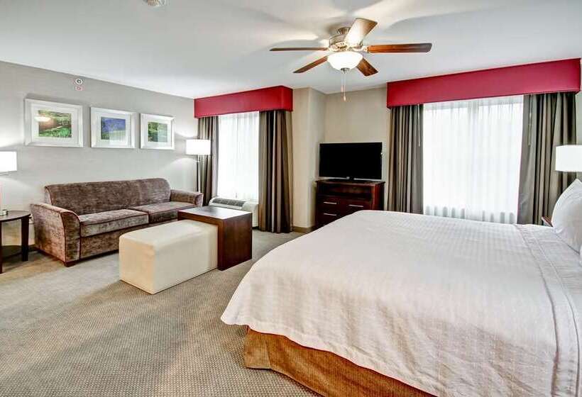 Standard Studio, Home2 Suites By Hilton Indianapolis Downtown