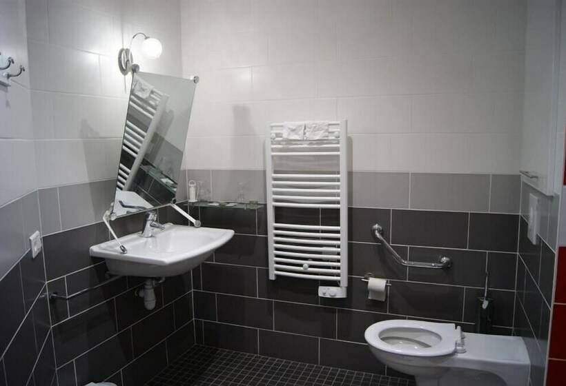 غرفة قياسية, Hôtel Des Vosges