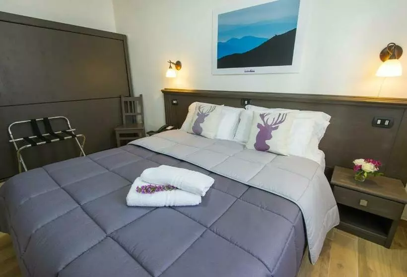 Habitació Comfort, Iris